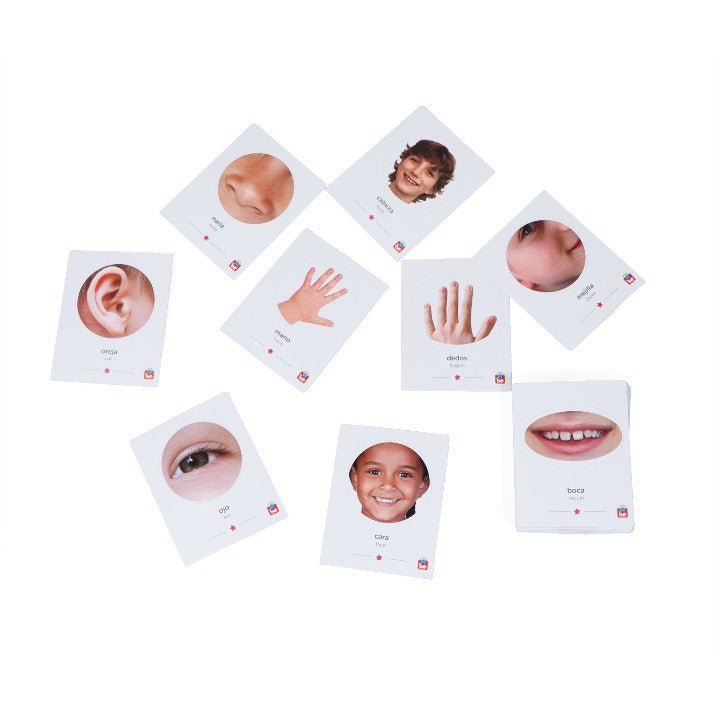 Toolbox be-4 - Tool-be