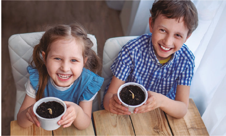 Guía paso a paso para cultivar una huerta en casa