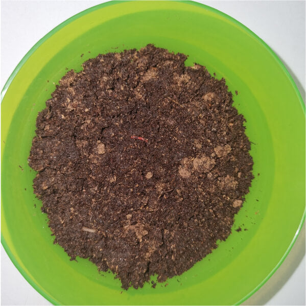 ¿Cómo hidratar los pellets de tierra comprimida?