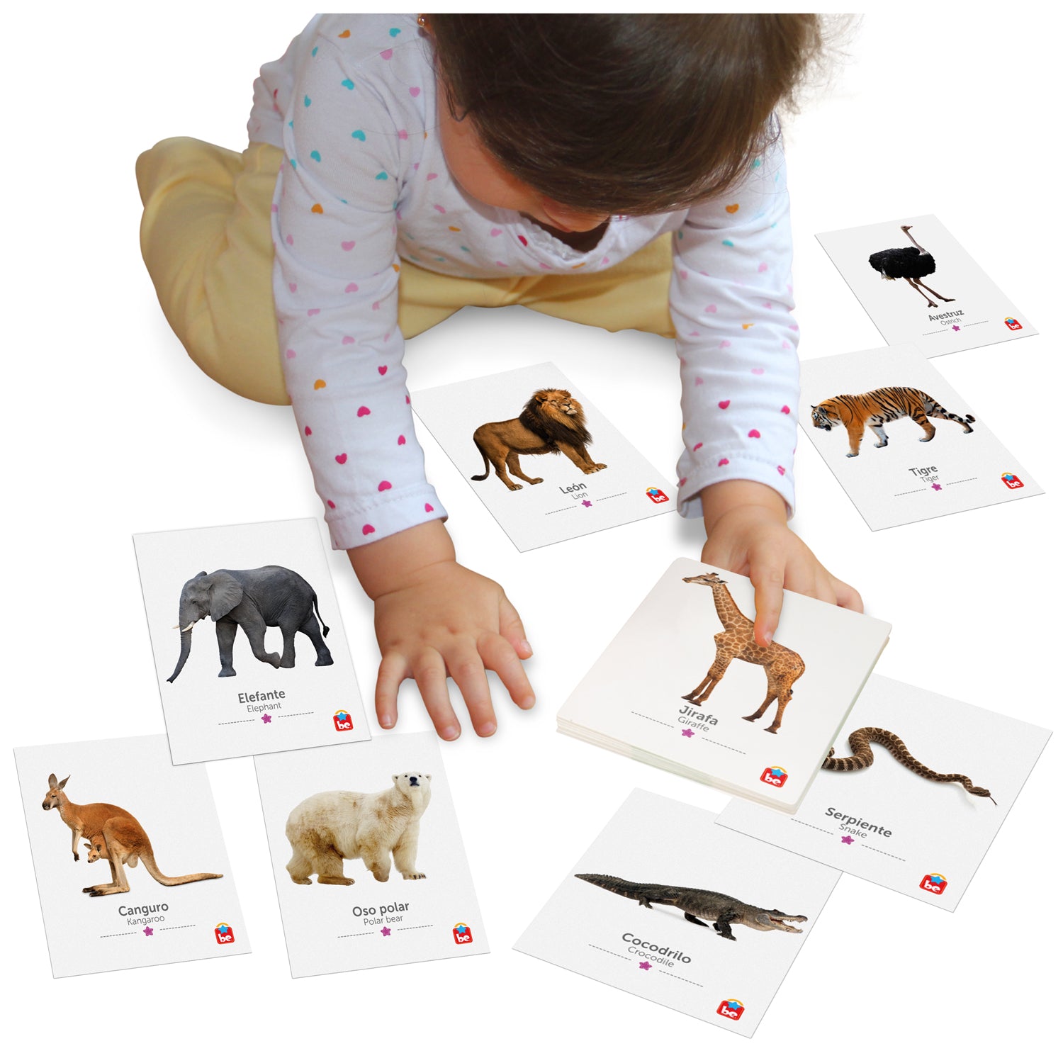 Combo Flash Cards de Animales x 3 (3 Pack)