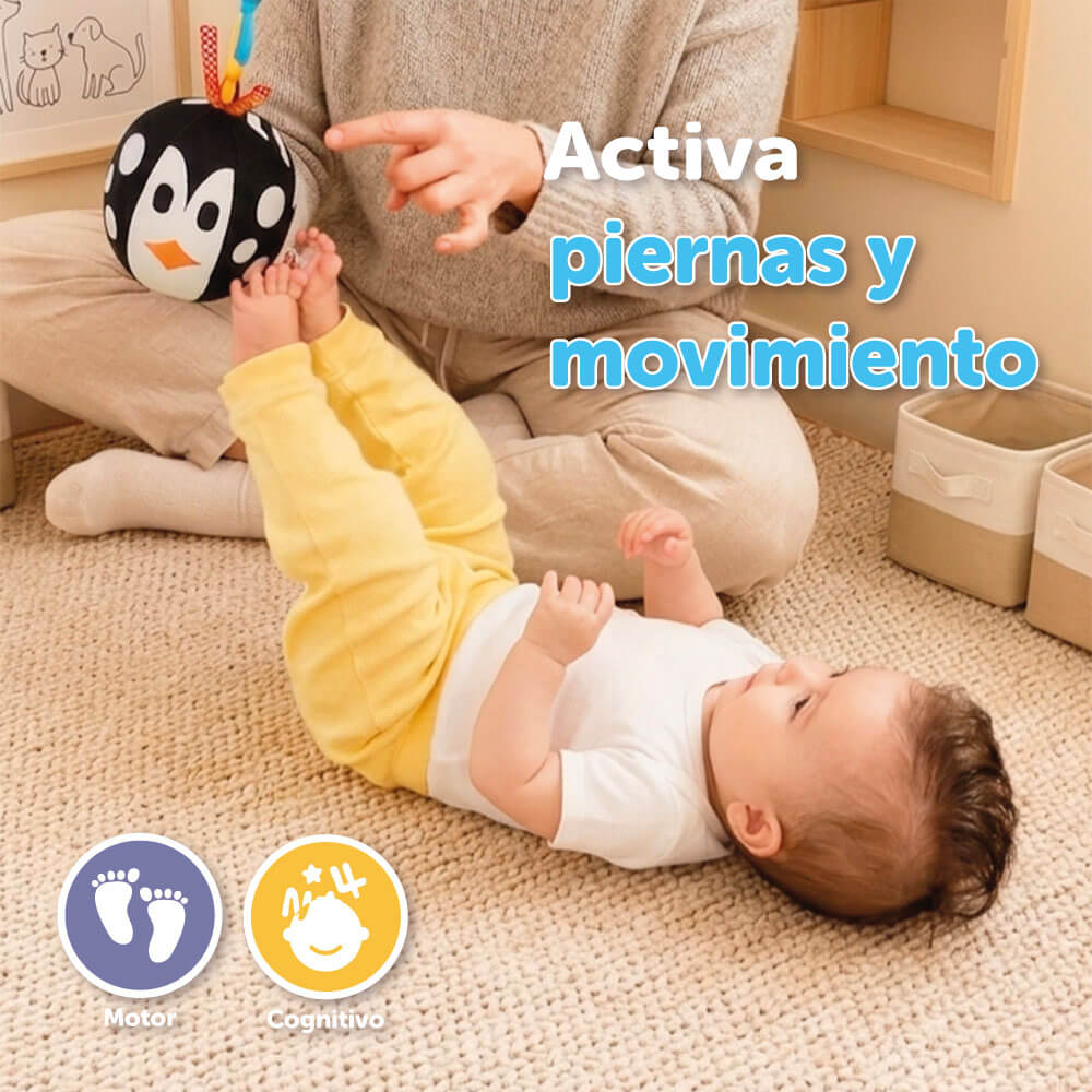 Black & White Sound Penguin