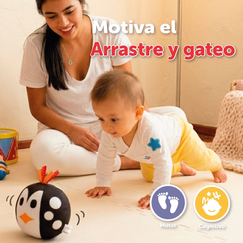 Black & White Sound Penguin