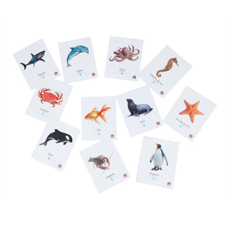 Flash Cards Animales del Agua - Tool-be