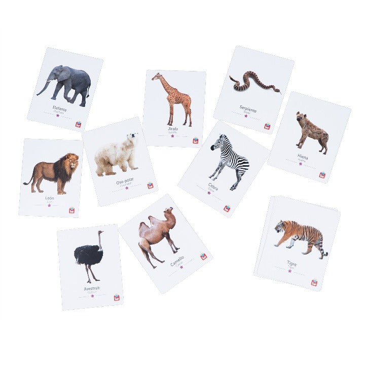 Flash Cards Animales Salvajes - Tool-be